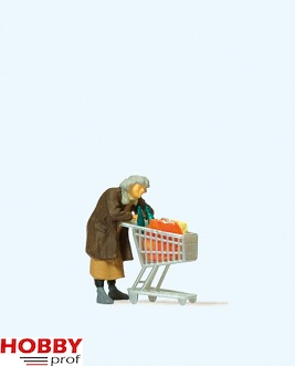 Homeless Woman with Trolley