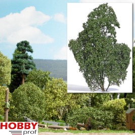 Filigree Bush ~ Summer (15cm)