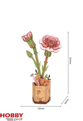 Rowood ~ Pink Carnation