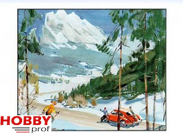 VW Beetle, Wintersport