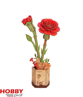 Rowood ~ Red Carnation