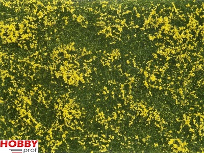 Ground Cover Foliage ~ Meadow Yellow 12x18cm