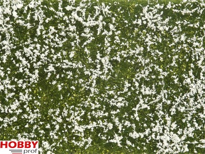 Ground Cover Foliage ~ Meadow White 12x18cm