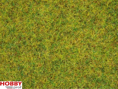 Scatter Grass ~ Summer Meadow 2,5mm (20g)