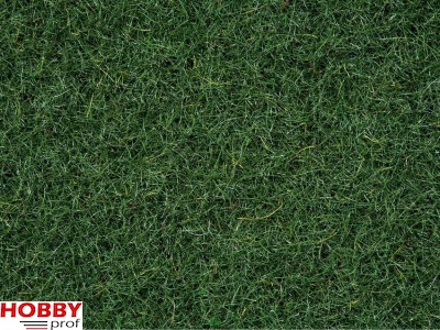Scatter Grass ~ Marsh Soil 2,5mm (20g)