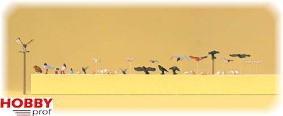 Birds (pigeons, gulls, crow, birds of prey)