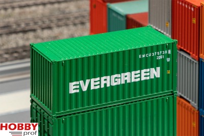 20' Container EVERGREEN