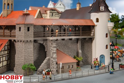 Old town wall with extension (June)