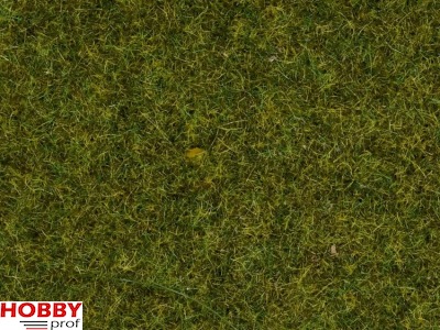 Scatter Grass ~ Meadow 2,5mm (100g)