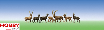 6 chamois and 6 ibexes