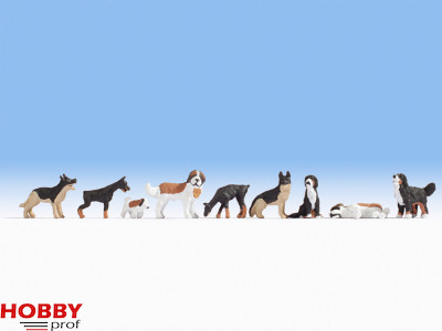 Dogs